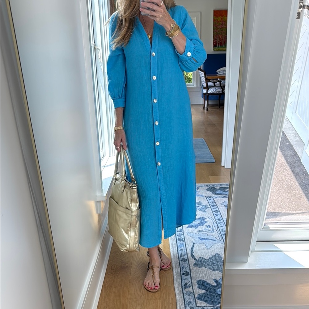 Zara Blue Button-Down Maxi Dress